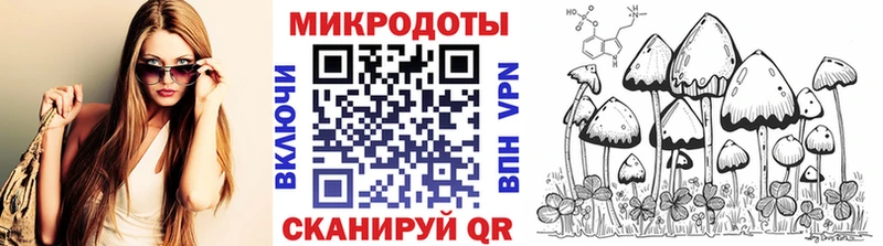 Купить  Бутурлиновка  Псилоцибиновые грибы MAGIC MUSHROOMS 